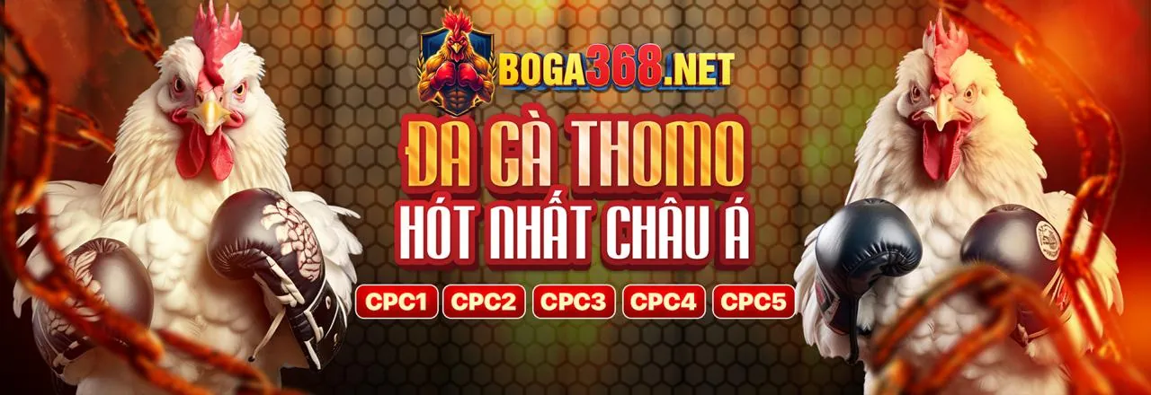 Người chơi we88 tin tưởng vào chính sách bảo vệ dữ liệu