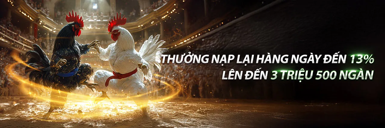 Đá Gà Trực Tuyến WE88 Link Mới